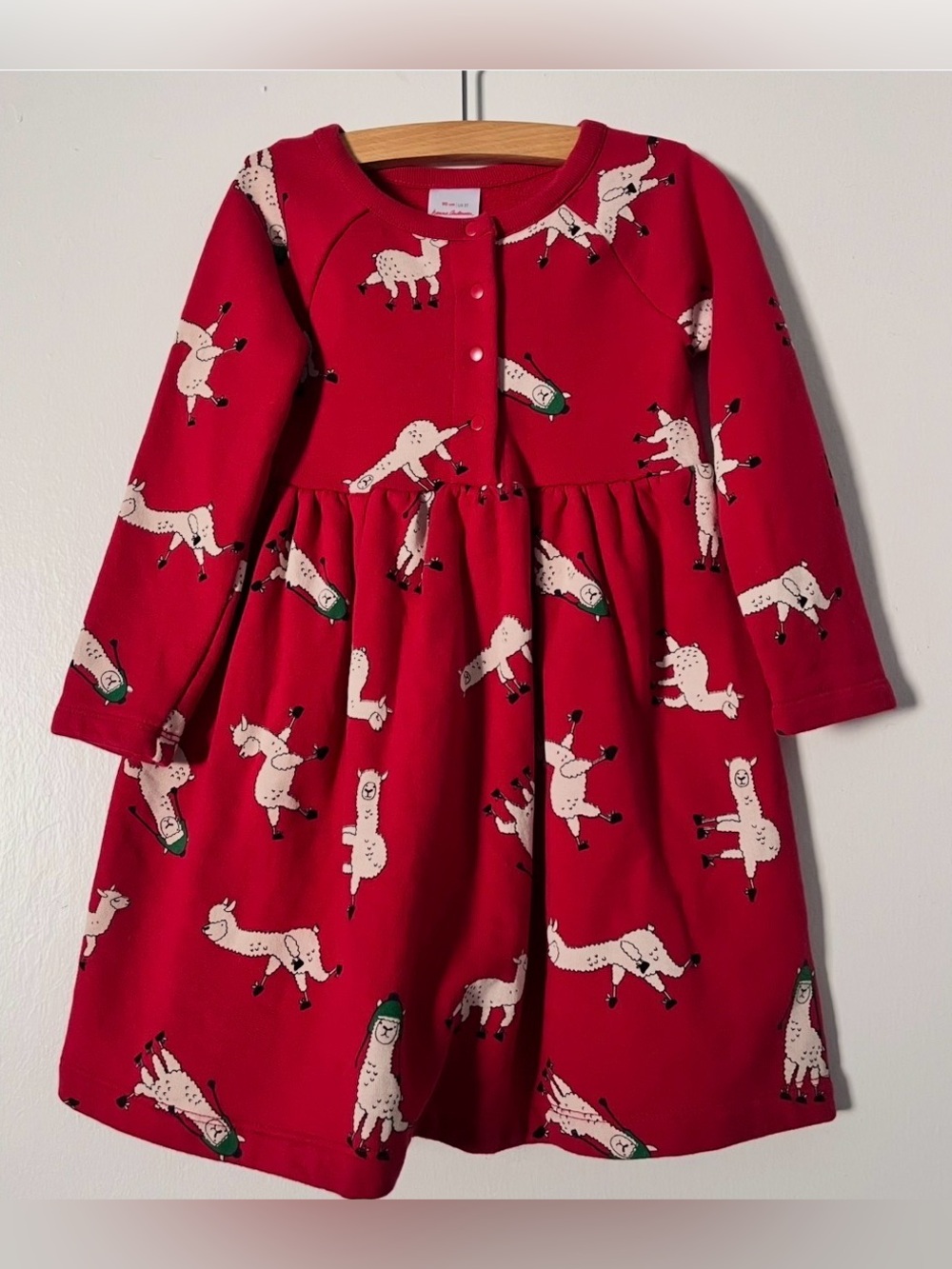 Hanna Andersson fleece lined Cozy Critters dress 90 US 3t